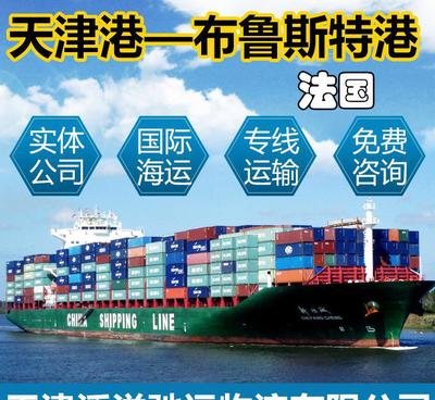 国际货运代理与集装箱海运出口法国专线 天津港至布鲁斯特港全程解析